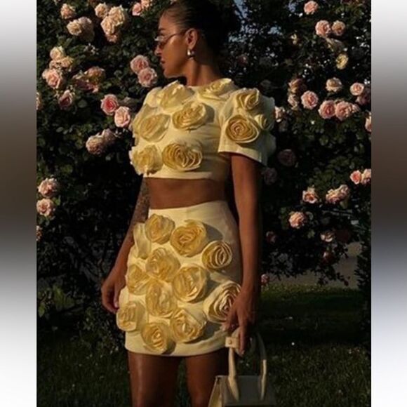 NWT Luxe Dress Rose-appliqué Cropped Top / Skirt Set In Gelb Yellow Large - Picture 7 of 16
